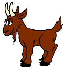 Csicseri borsó