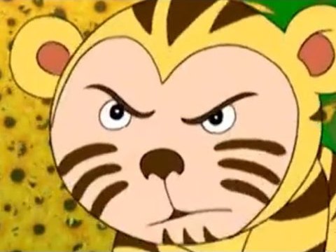 The tiger﻿