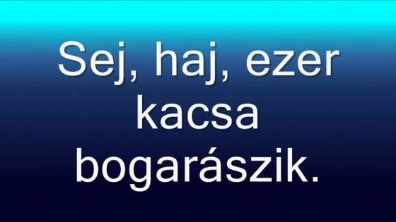 Tó vize
